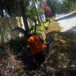 OFC Deployment transworld 2021